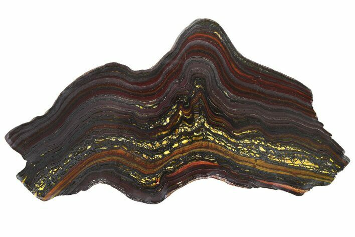 Polished Tiger Iron Stromatolite Slab - Billion Years #317917